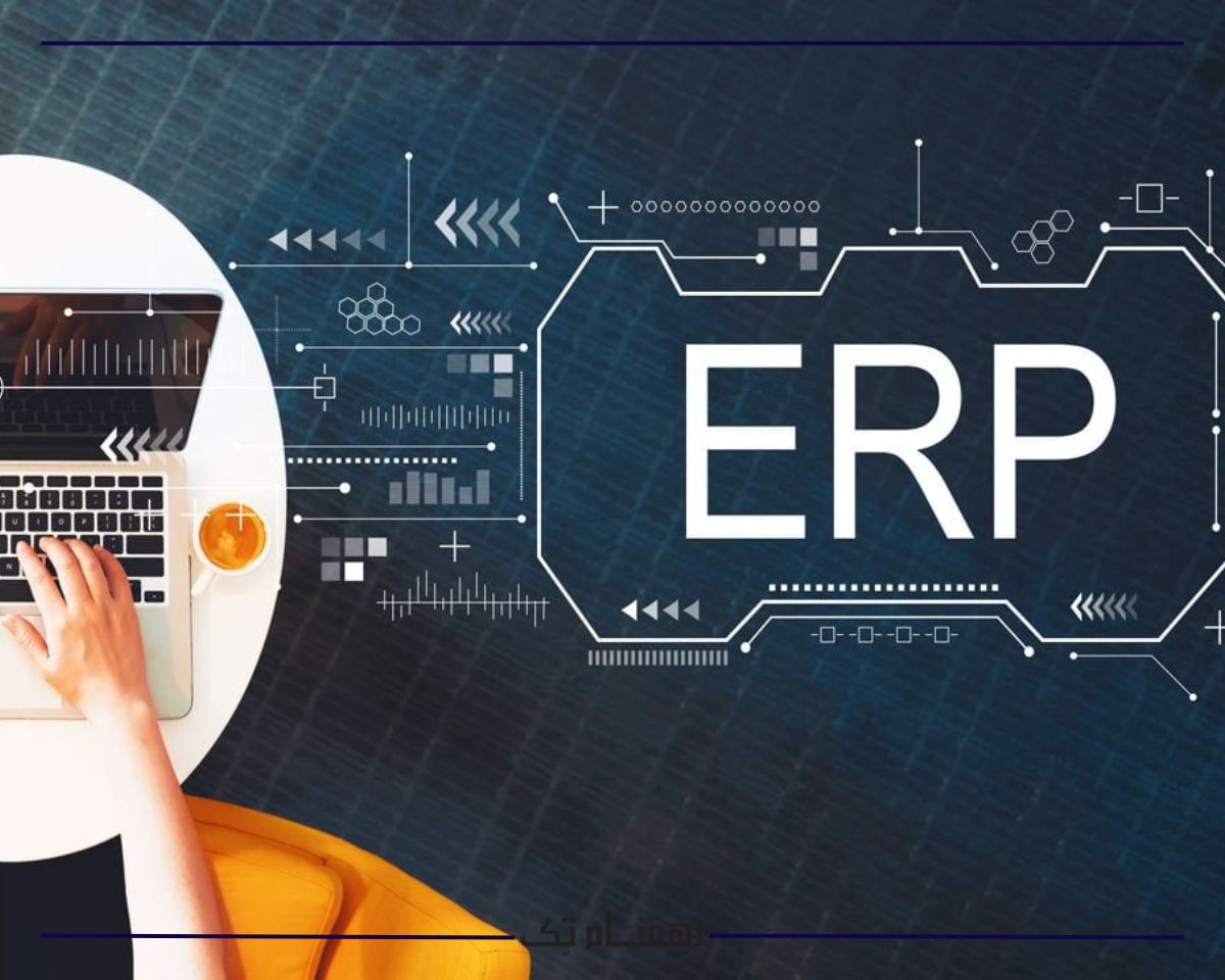 انواع ERP